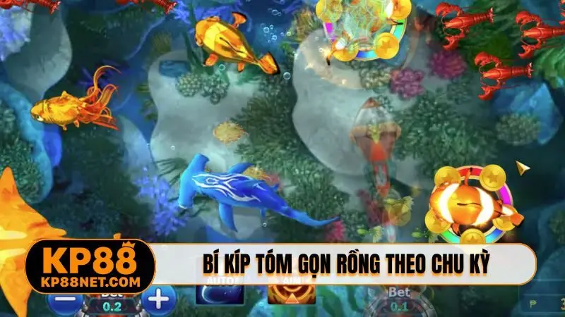 Bí kíp tóm gọn rồng theo chu kỳ